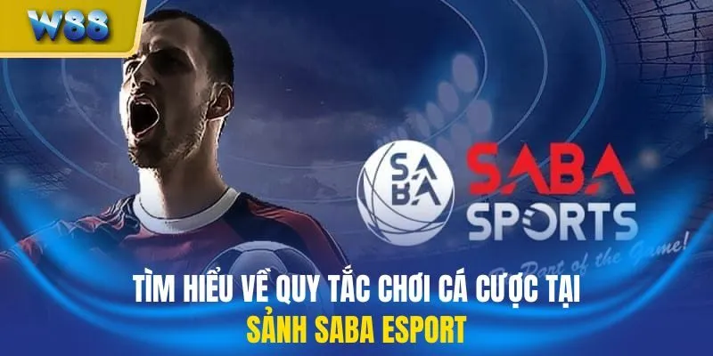 Tìm hiểu về quy tắc chơi cá cược tại sảnh SABA Esport
